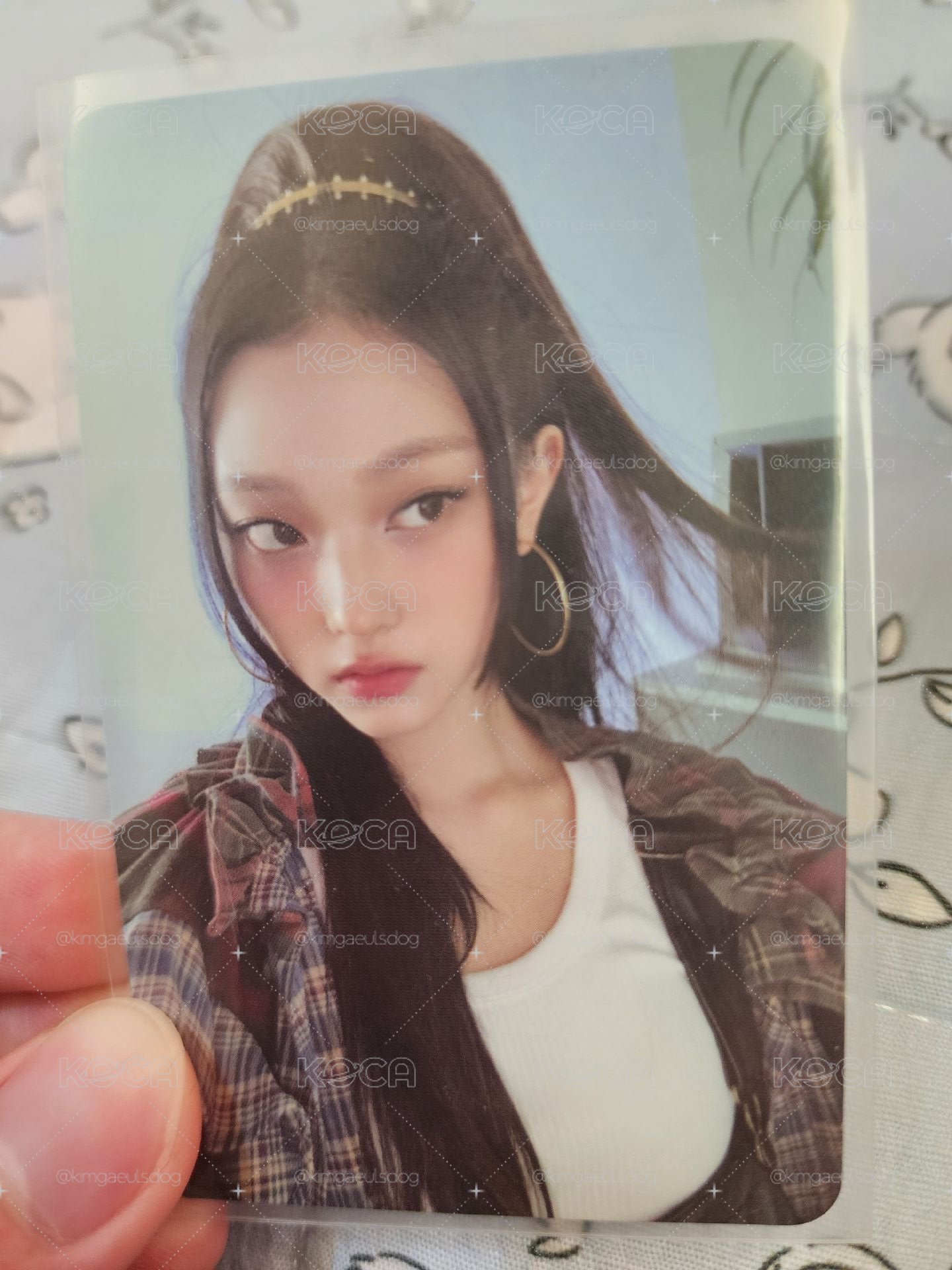 萌貓潾專卡