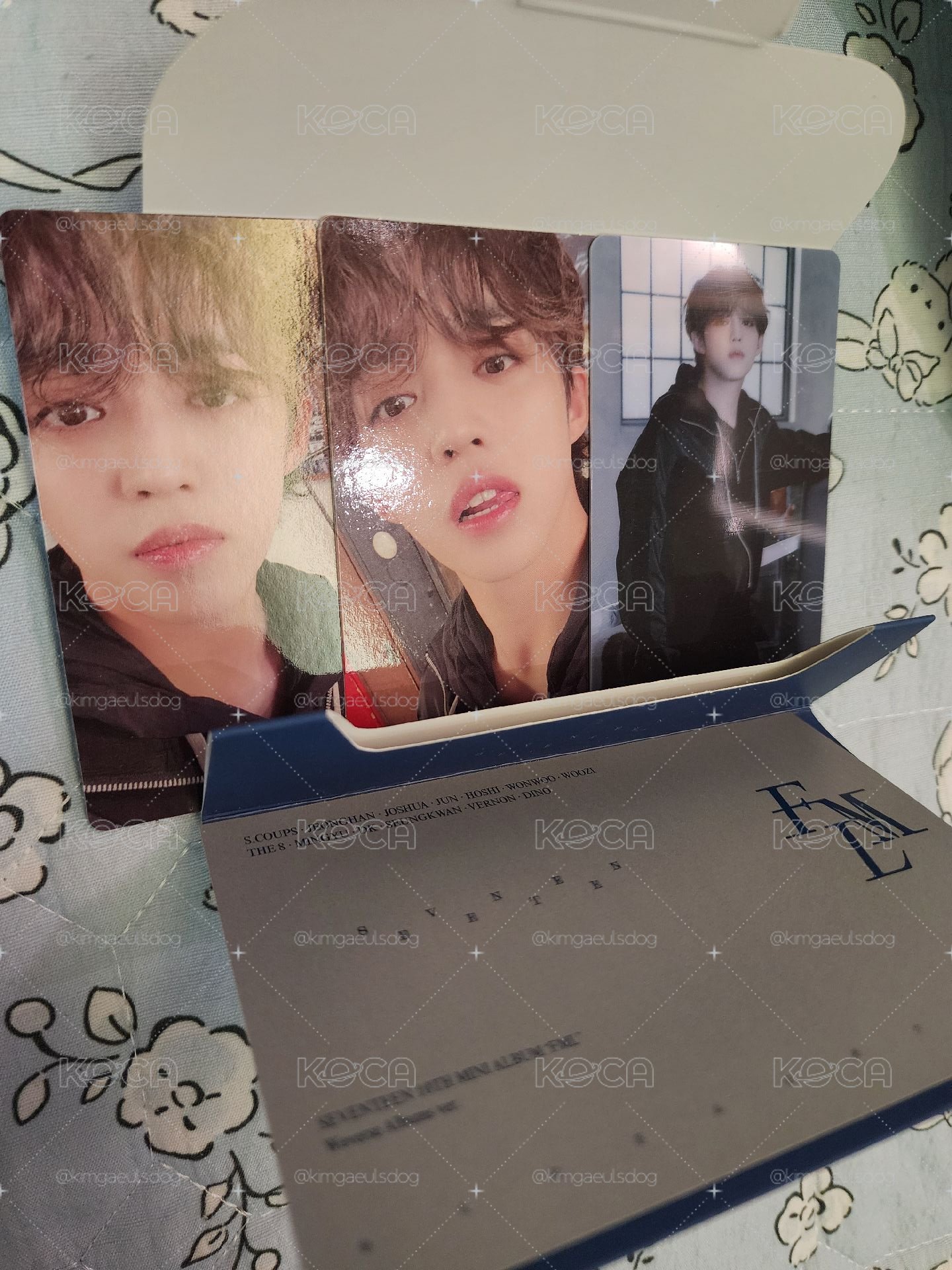 SVT FML 已拆已掃Weverse全專 哲