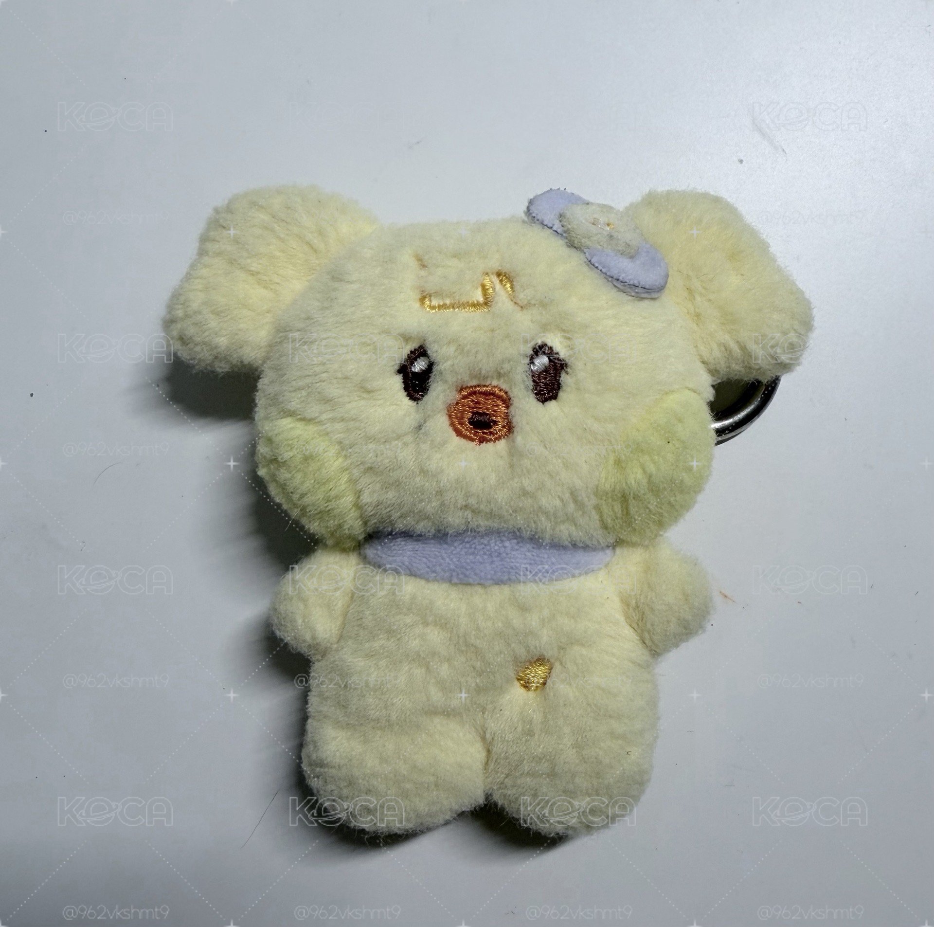 IVE X LINE FRIENDS 吊娃 narini 