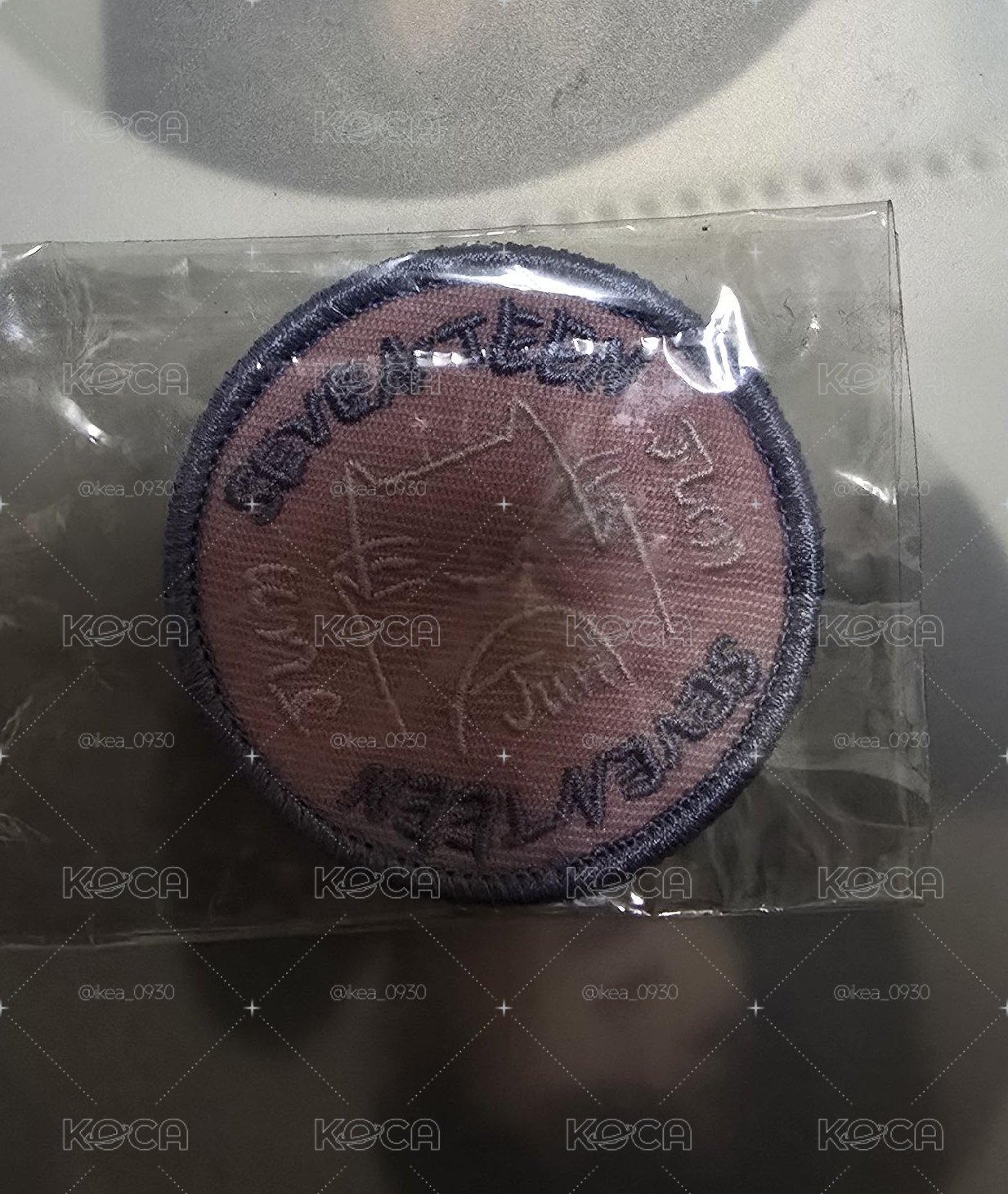 文俊輝 別針襟章