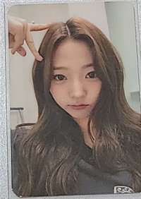 Stella sw 直播卡