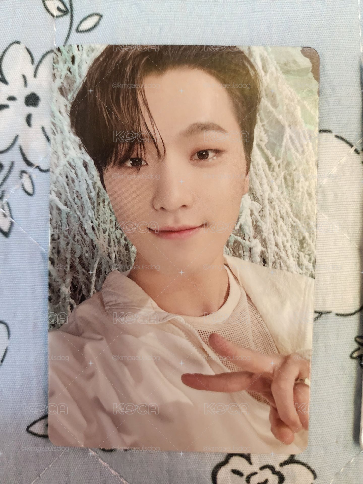 各種SVT漂亮小紙片！