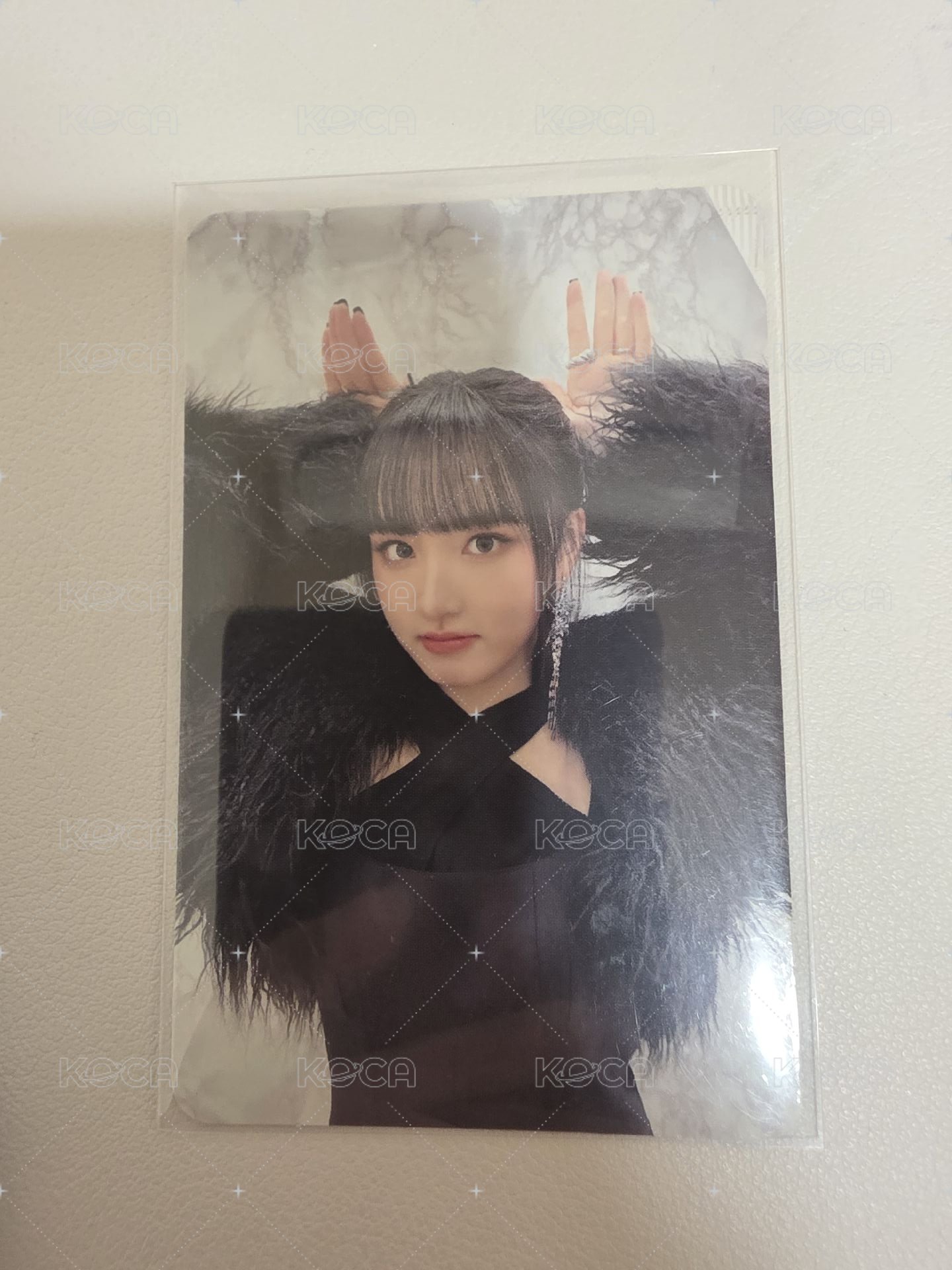 專卡栗子