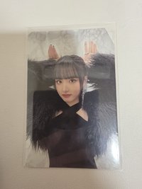 專卡栗子