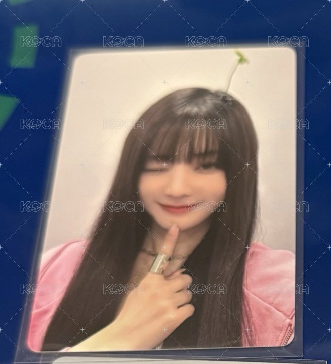 樹苗妮