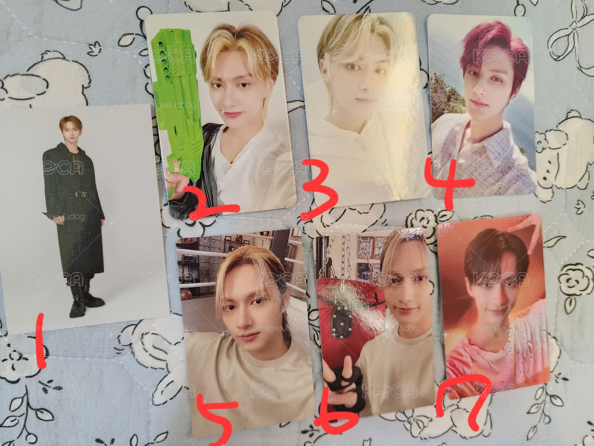 SVT 俊輝盤！