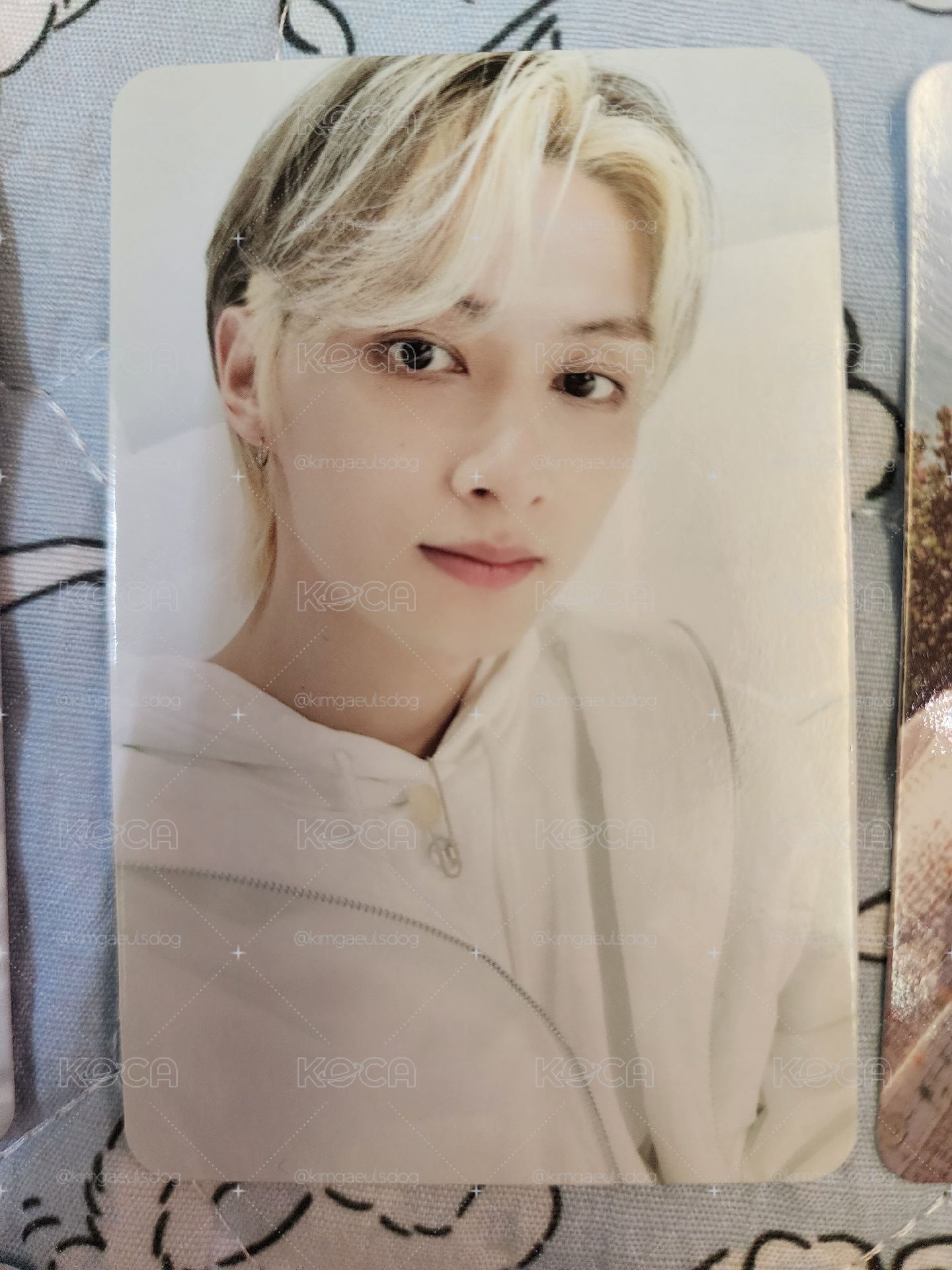 SVT 俊輝盤！