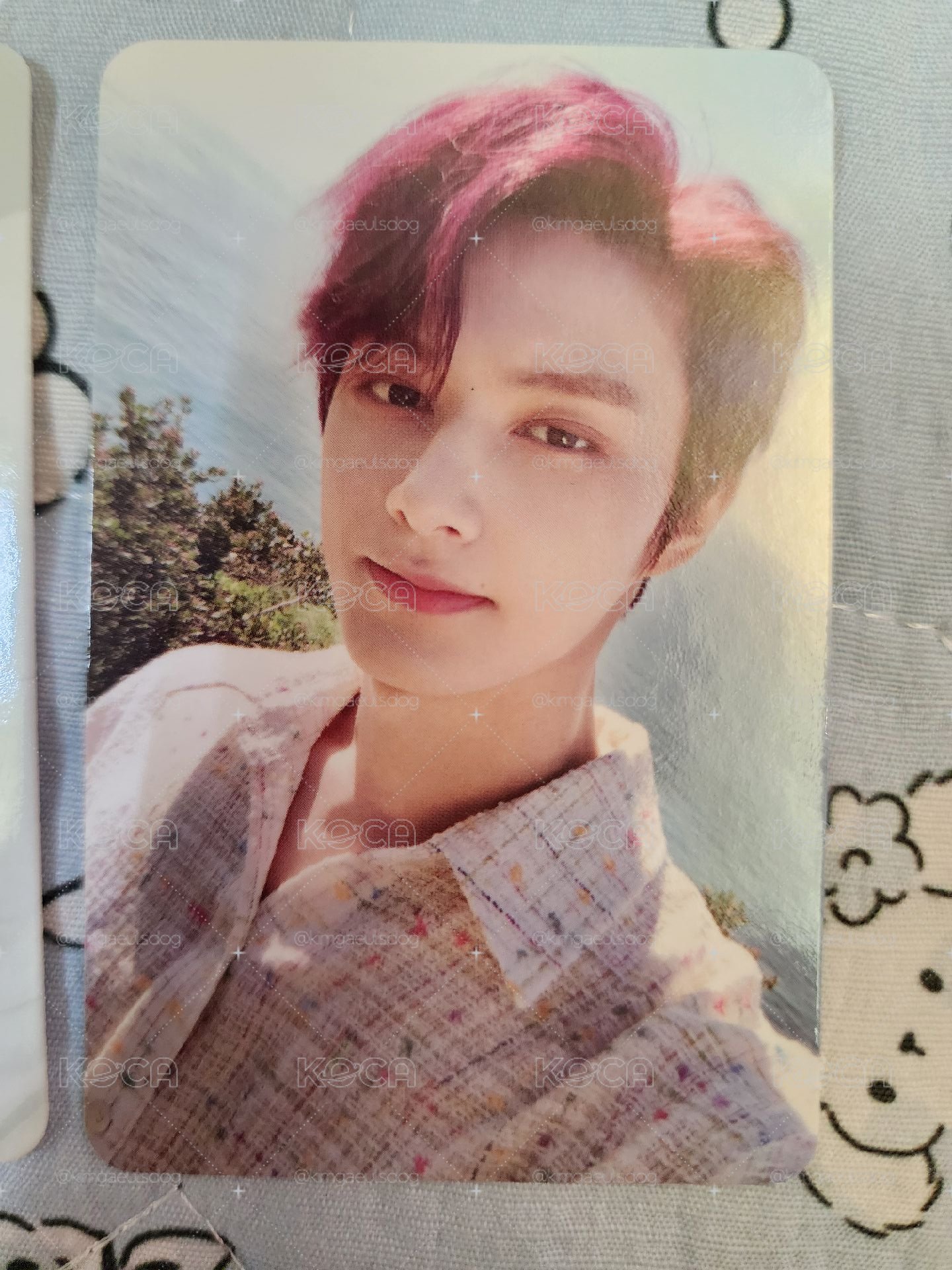 SVT 俊輝盤！