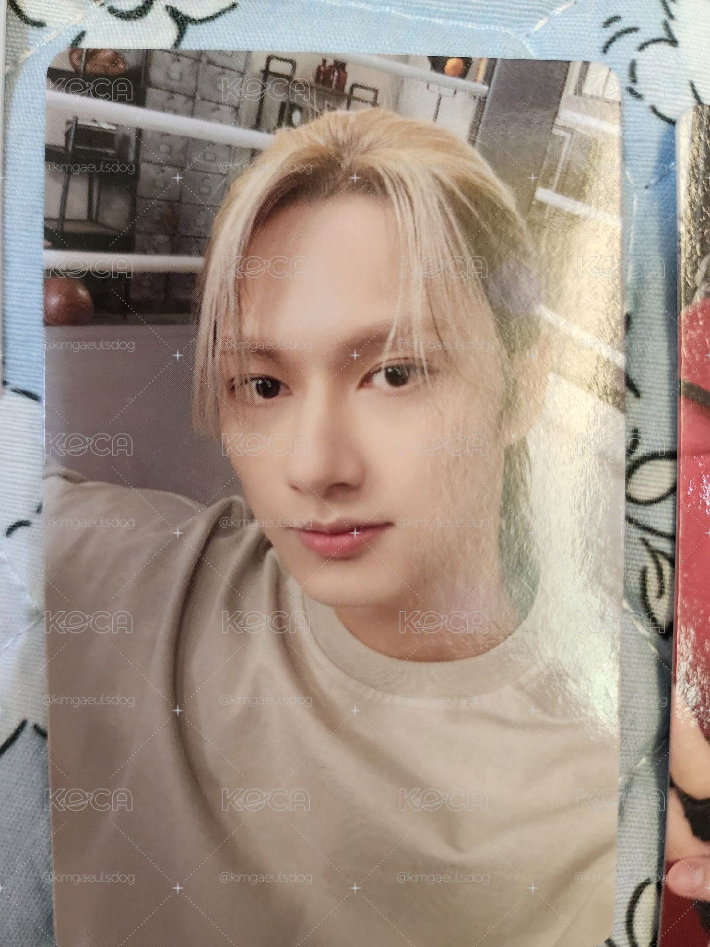 SVT 俊輝盤！
