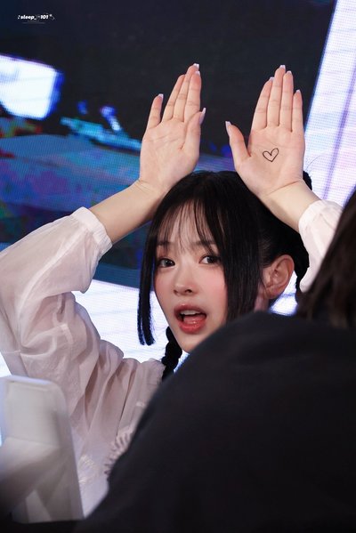 各種哈尼特典
