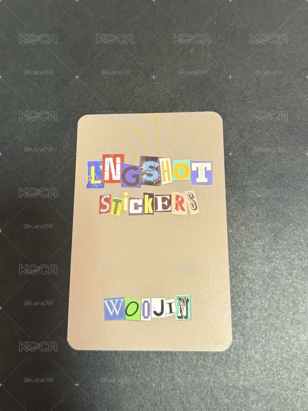 LNGSHOT 貼紙書小卡 宇津