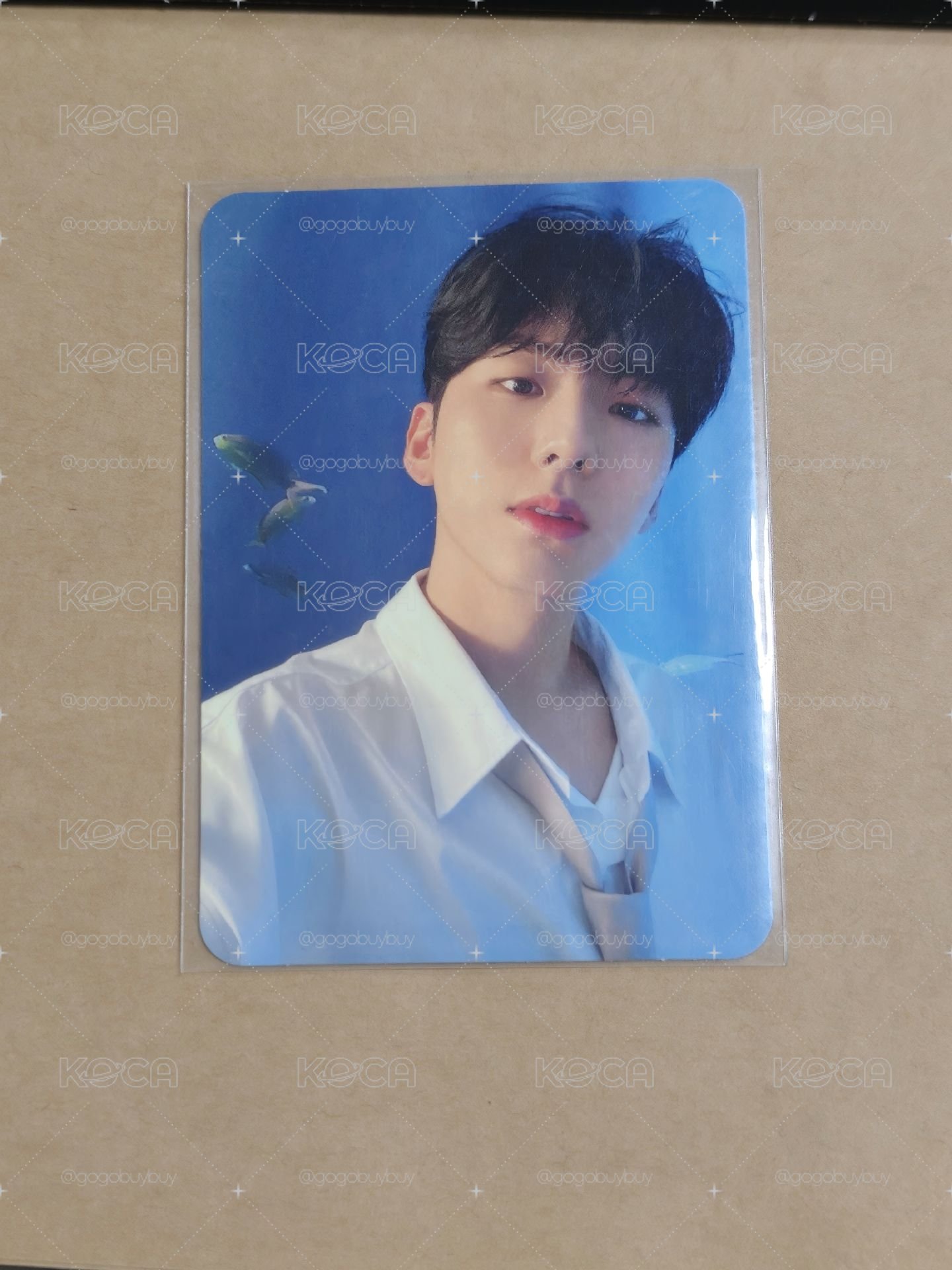 基賢 kihyun小卡出清 每張$20