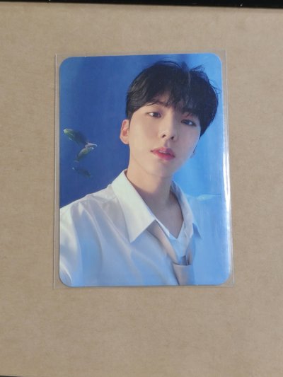 基賢 kihyun小卡出清 每張$20