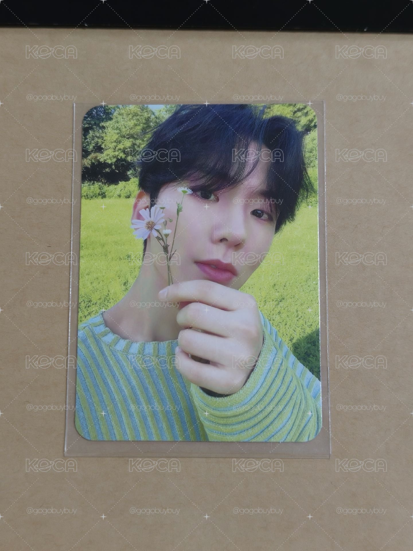 基賢 kihyun小卡出清 每張$20