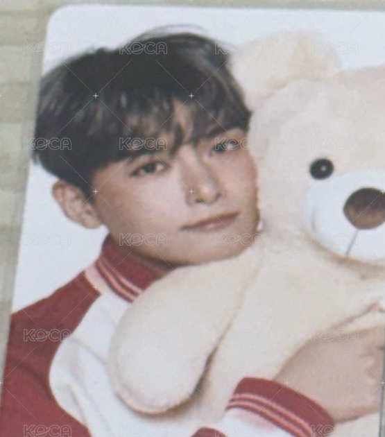 🐻1