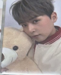 🐻2