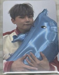 海豚