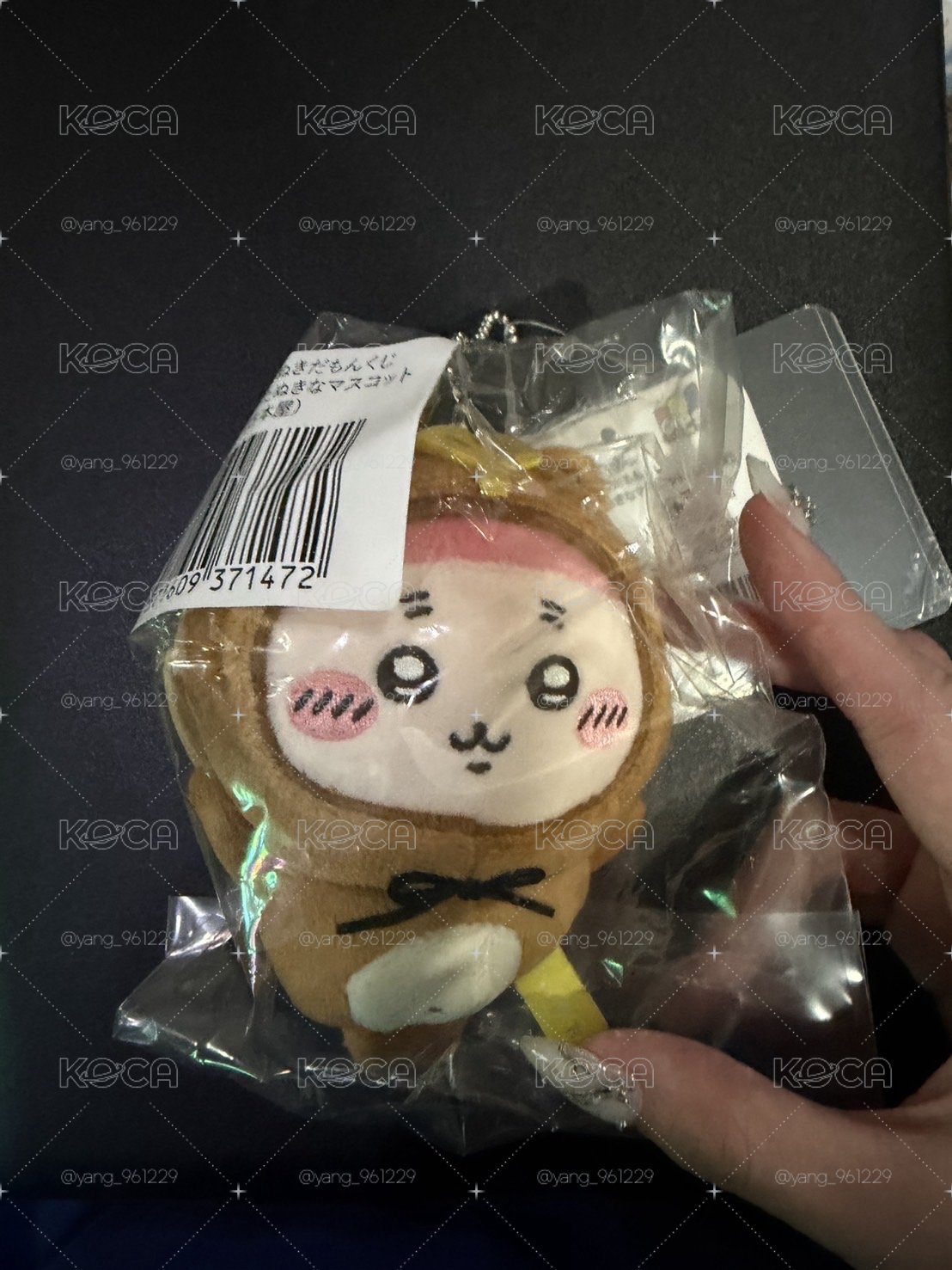 狸貓一番賞 古本屋