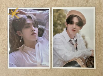 SVT SOCIAL CLUB 傳家寶 明信片 檔案卡 SEVENTEEN