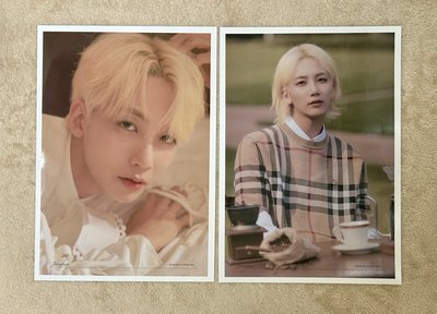 SVT SOCIAL CLUB 傳家寶 明信片 檔案卡 SEVENTEEN