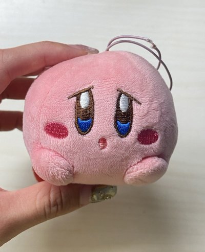 委屈臉卡比