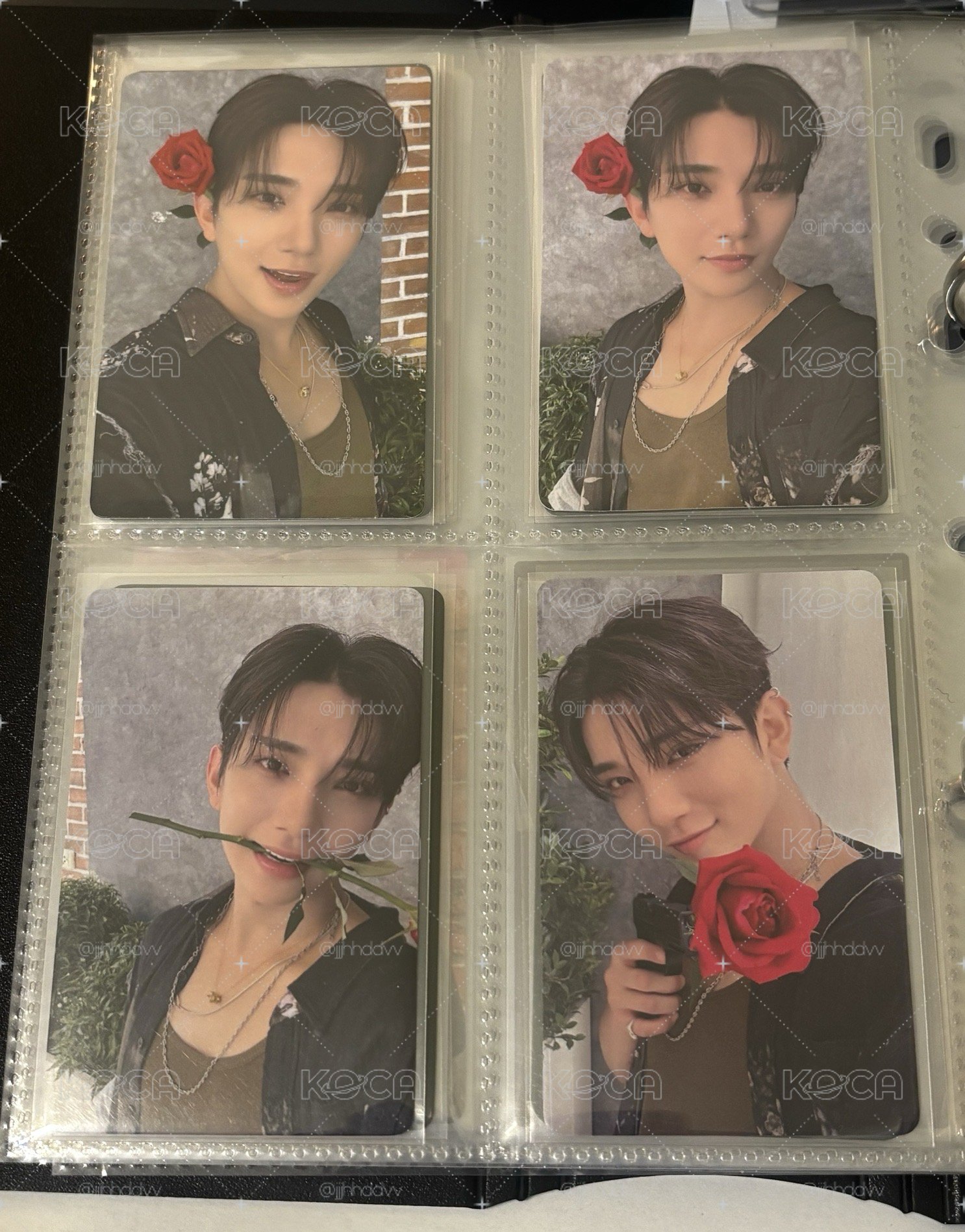 玫瑰秀🌹