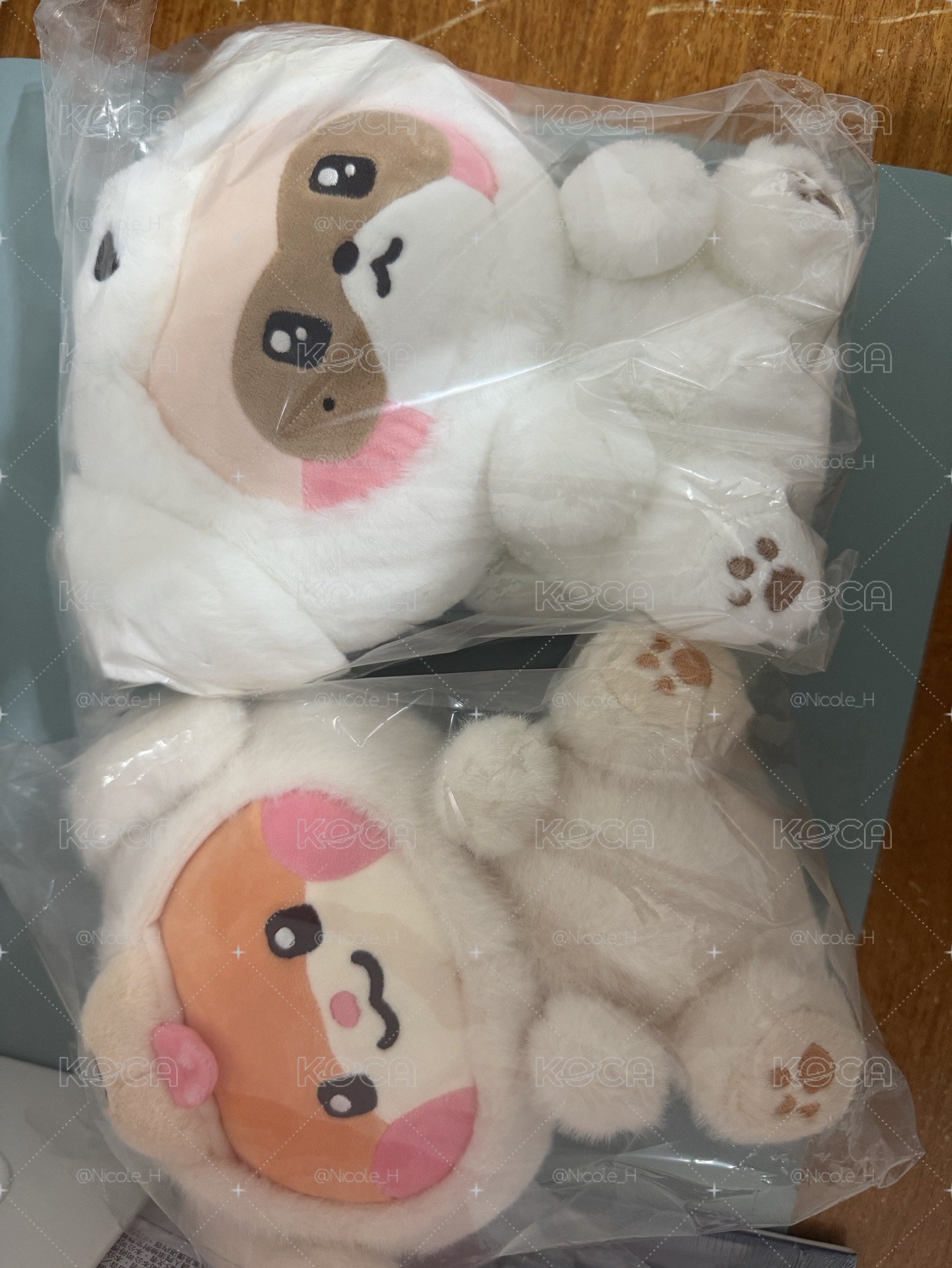 彬昊 坐娃