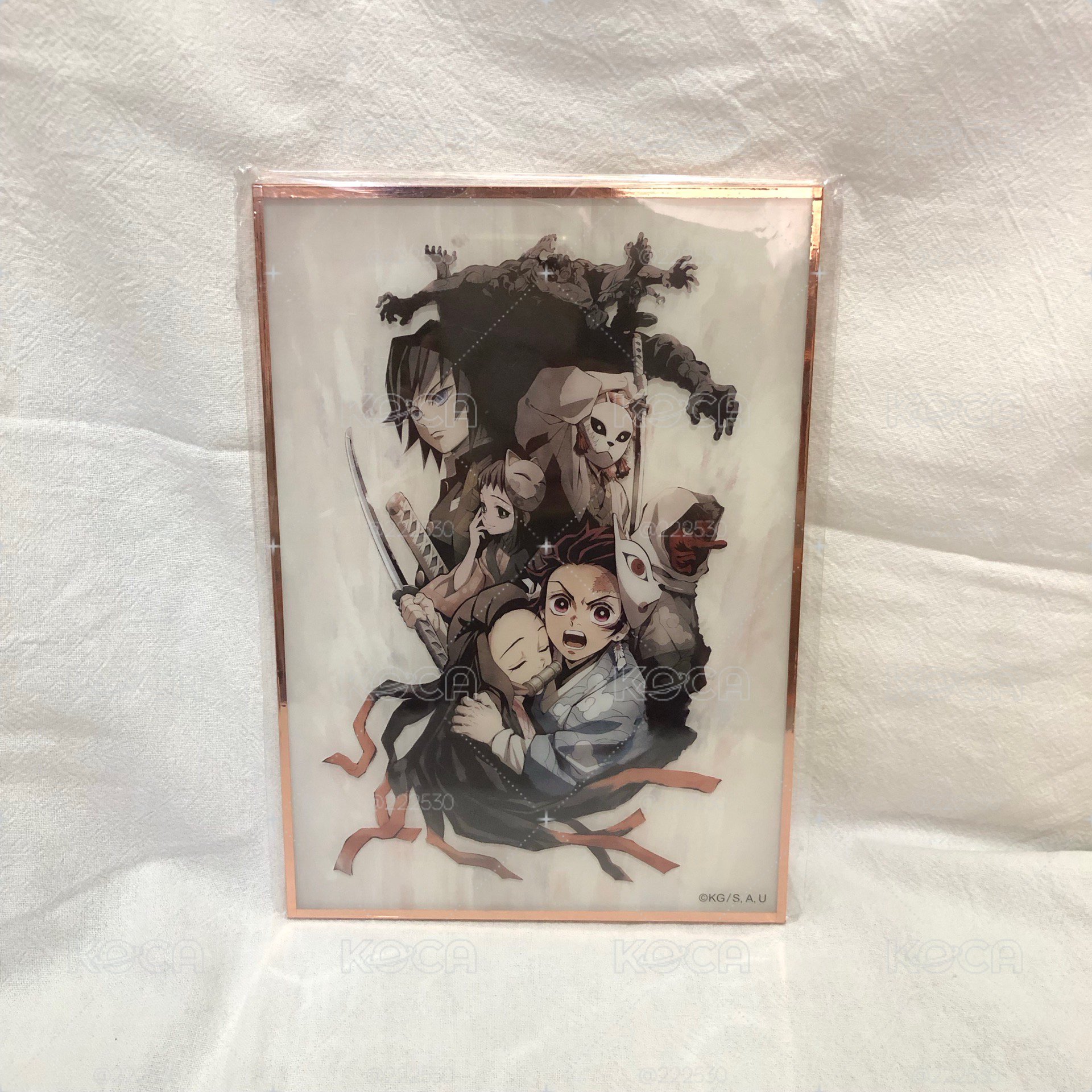 鬼滅之刃 鬼滅百景 主視覺壓克力色紙：兄妹之絆篇（全新未拆）