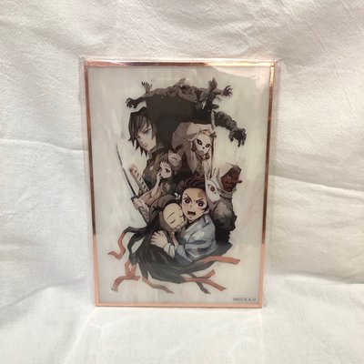 鬼滅之刃 鬼滅百景 主視覺壓克力色紙：兄妹之絆篇（全新未拆）