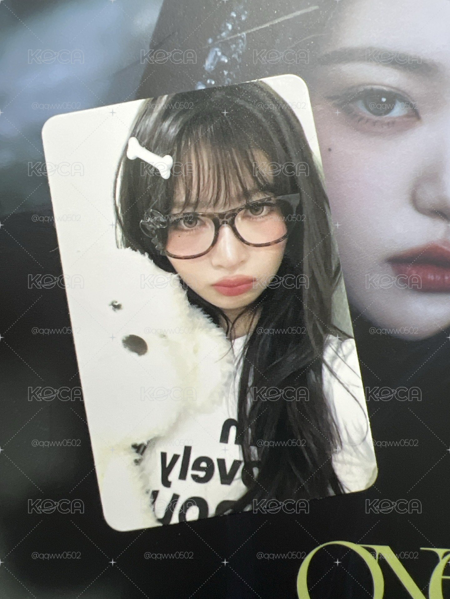 狗狗怜