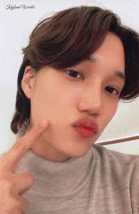 2022 SMCU 周邊卡 紋身貼紙卡