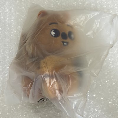 全新現貨 城小抱娃