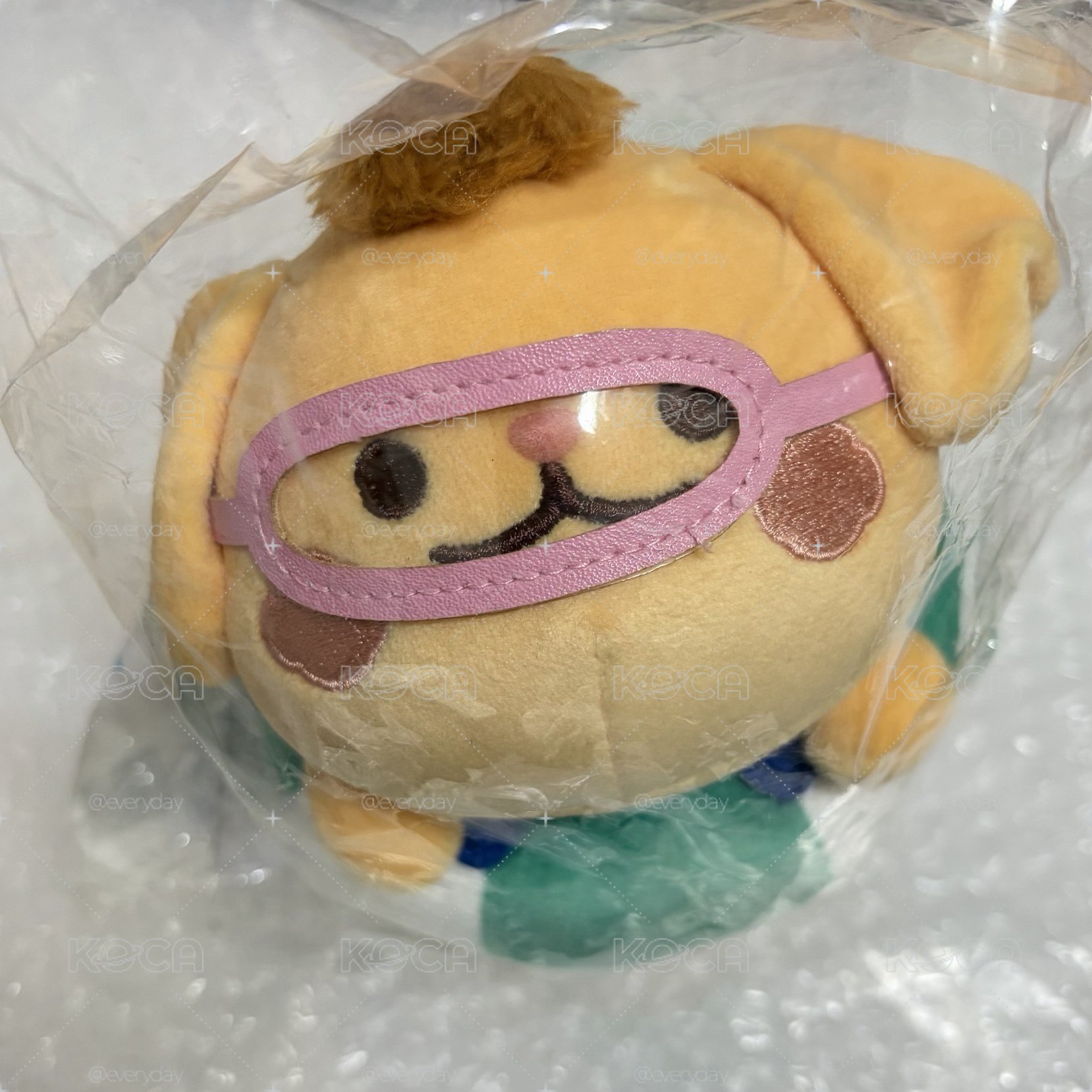 全新現貨 烤焦娃SUMMER CCREW TEORI