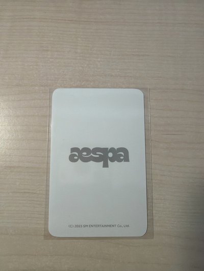 aespa ctmi 周邊卡 毛絨鑰匙圈冬