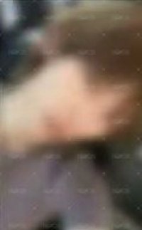 訓- 需帶凡或馬