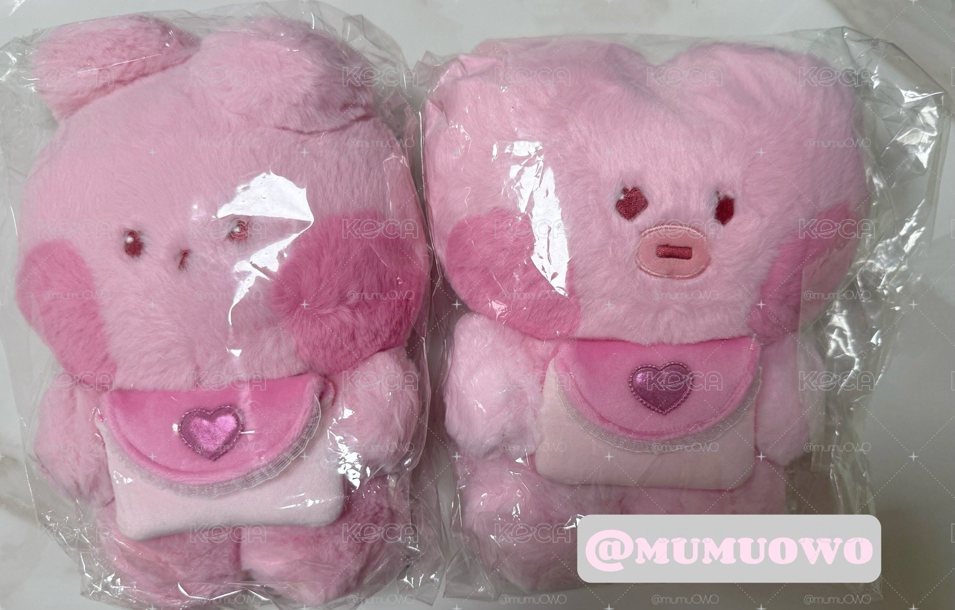 現貨 BT21告白詩卡套/大娃