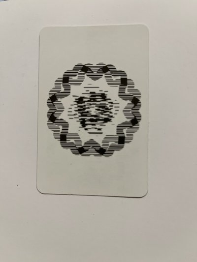 聖誕紗（本ㄊㄧ