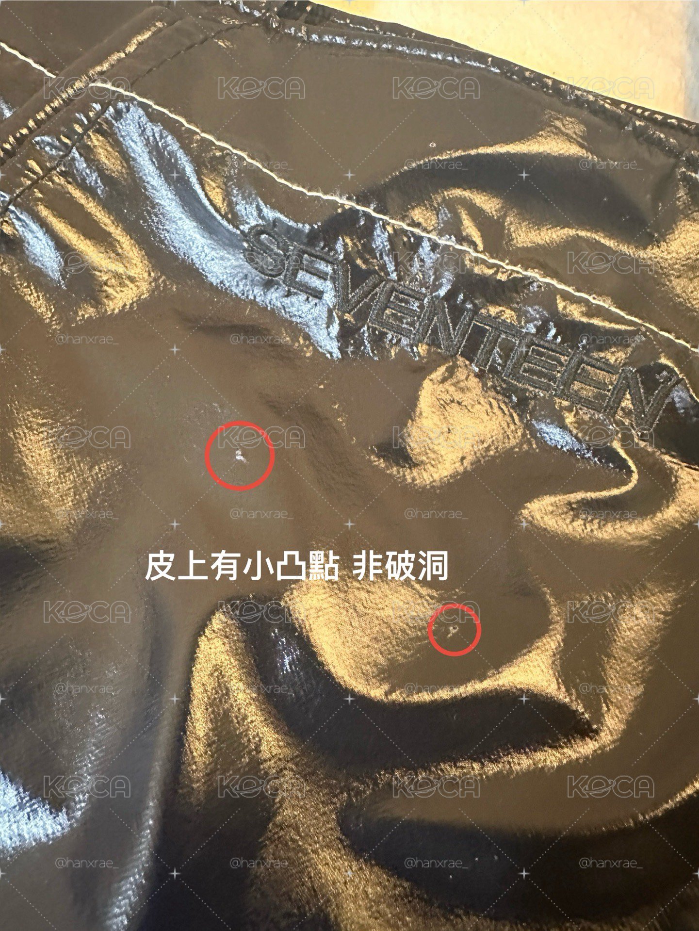 SEVENTEEN RIGHT HERE日巡托特包