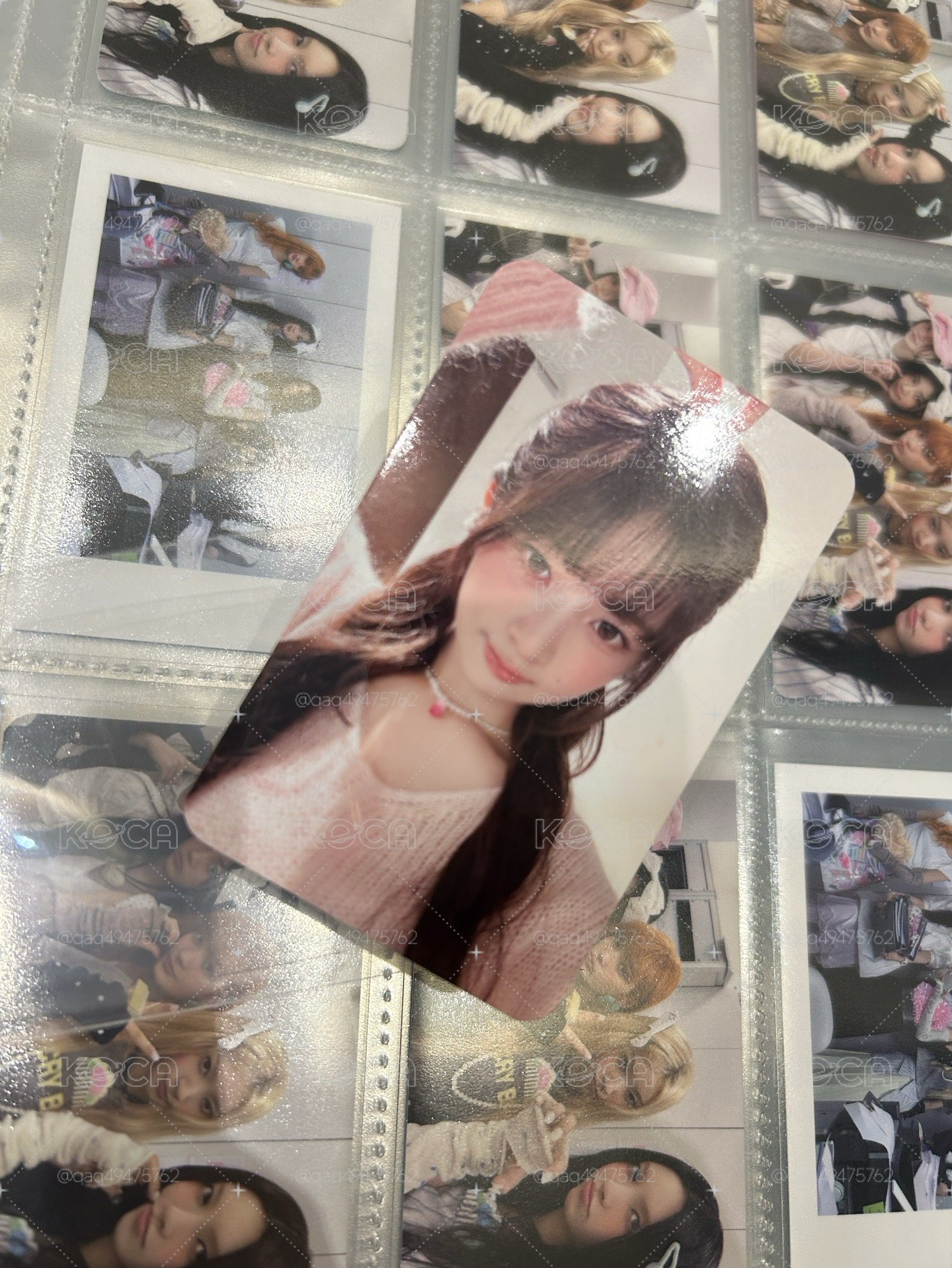馬尼拉草莓怜