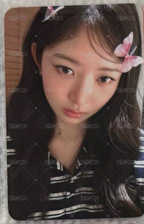 蝴蝶怜