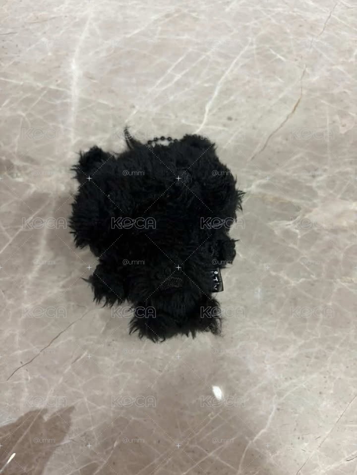隱藏款sion黑色彩娃