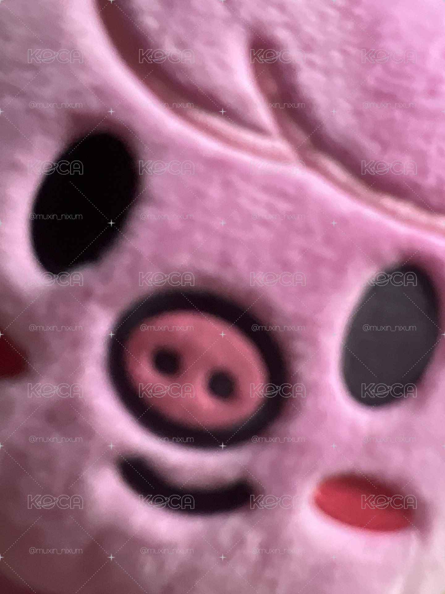🐽🐰後背包