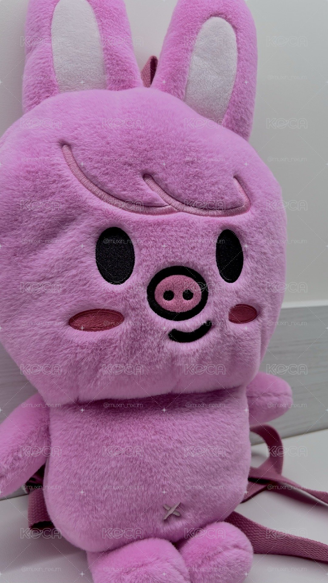 🐽🐰後背包