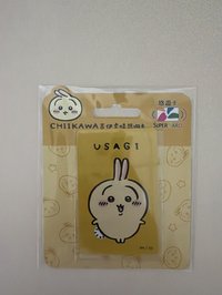 烏薩琪