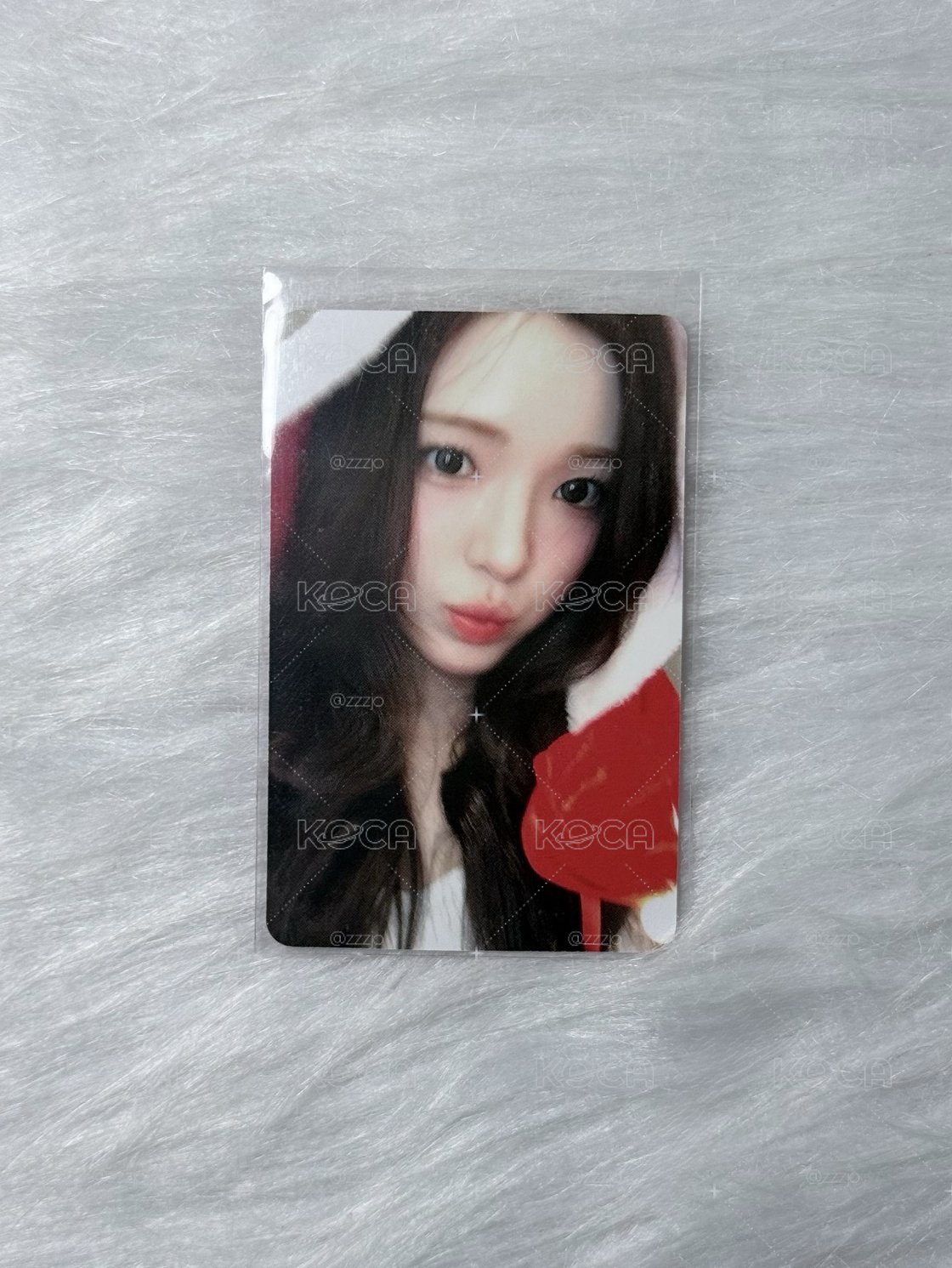 Focus mr 2.0 幸運卡 yuha