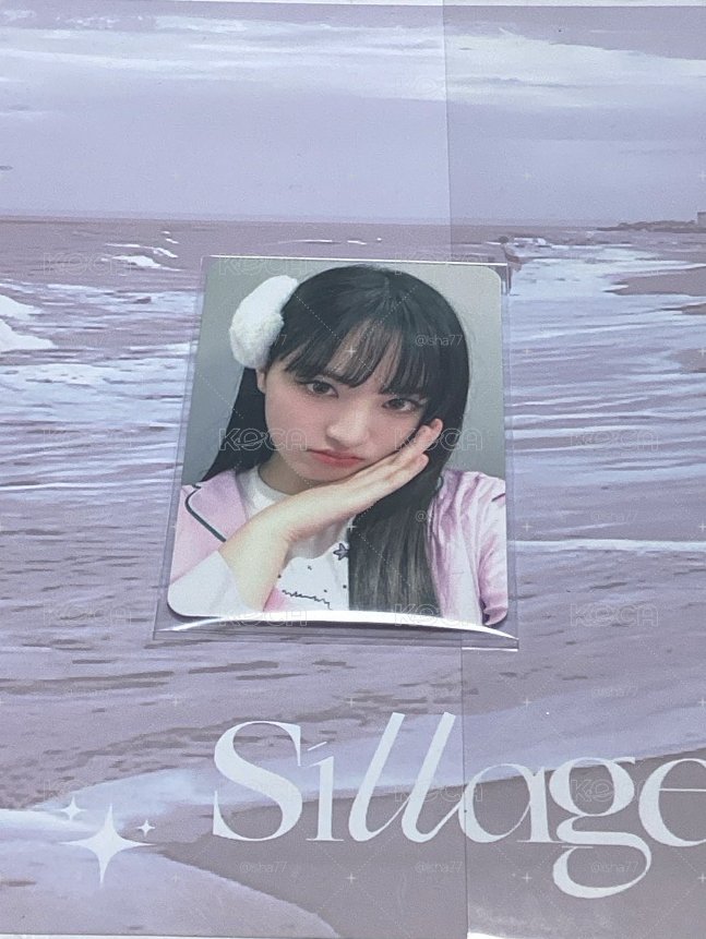 LIZ 卡面萌 背面萌