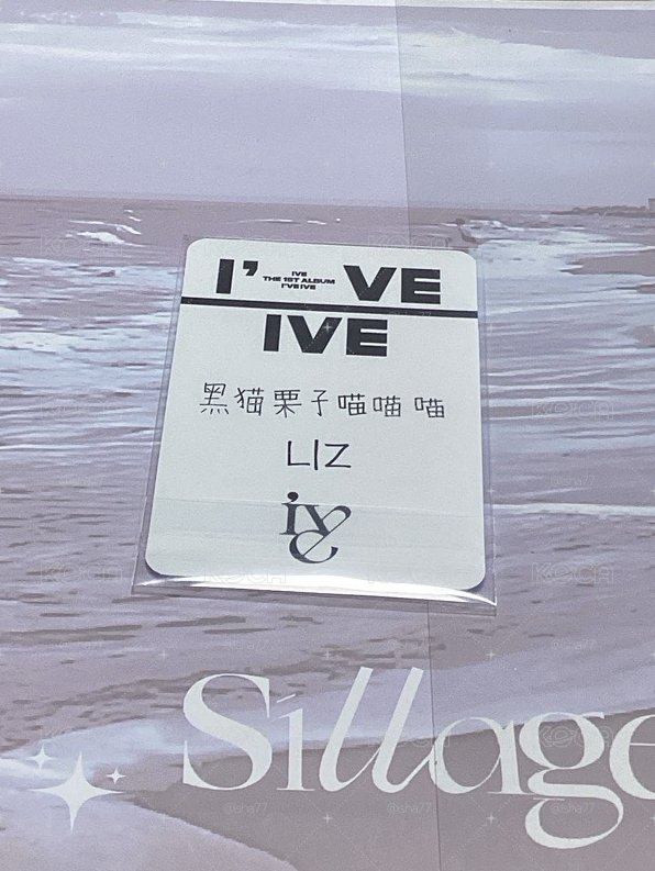LIZ 卡面萌 背面萌