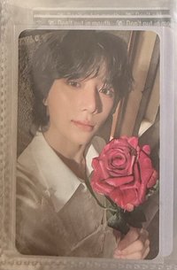 玫瑰圭