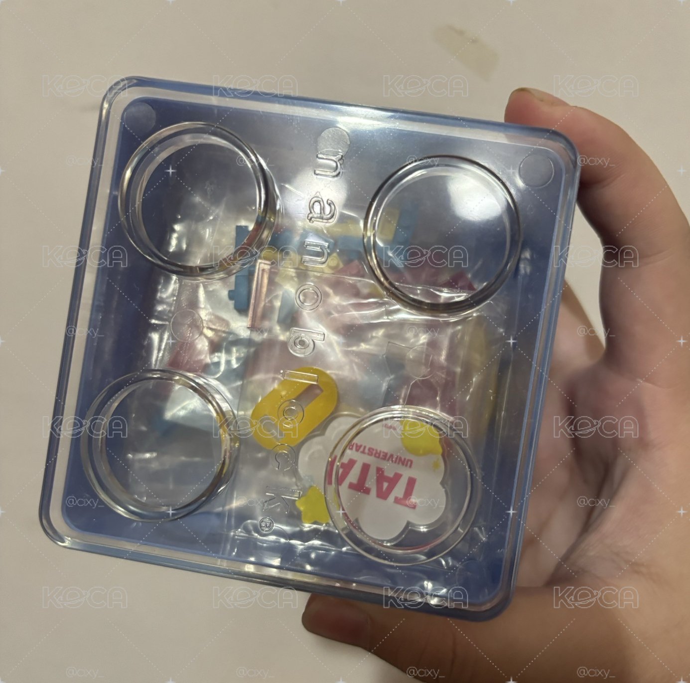 BT21 TATA正版積木