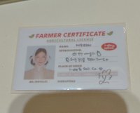 2.薇娟小卡